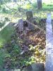 Bourland-Abigail-(Loving)-TS-1