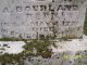 Bourland-Demaris-Dillingham-(Reese)-18760518-IL-Effingham-TS-4