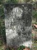 Castleberry-Nathaniel-William--(Cynthia-Althea-E-Fox)--18581009-KY-Hopkins-TS