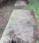 Claiborne-Thomas--(Ann-West-Fox)--17320816-VA-King-William-TS-2