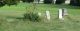 Culp-Henry-Sr-(Culp Family Plots)-TN-Powell-TS-2