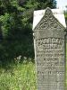 Dunn-Pharoah--(Altzora-Dees)--1863-KY-Marshall-TS