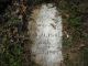 Frizzell-Solomon-18771215-KY-Marshall-TS
