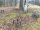 Harrison-Burr-(Sarah-Frances-(Burdette))-VA-Prince-William-TS-3