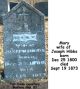 Hibbs-Mary-B-(Hargan)--(Joseph-Hibbs)-18730919-KY-Hopkins-TS