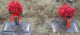 Hibbs-Sherry-Elizabeth-2