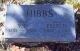 Hibbs-Valentine-K-(Petonia-H-(Dame))--(Jeremiah-Valentine-Hibbs)-TS-1