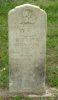 Johnson-W-E-(son-BF-CS)-18900624-KY-Marshall-TS