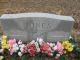 Jones-Willard-(Dora-Ann-(Travis))--(Robert-Boise-Travis)--KY-Trigg-TS