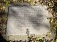Martiau-Nicholas-16570416-VA-York-TS-3