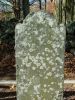 McConnell-John-Sr-18011230-NC-Iredell-TS-2