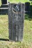 Sisk-Pendleton-18751213-KY-Hopkins-TS