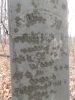 Stringer-William-18890216-IL-Pulaski-TS-3